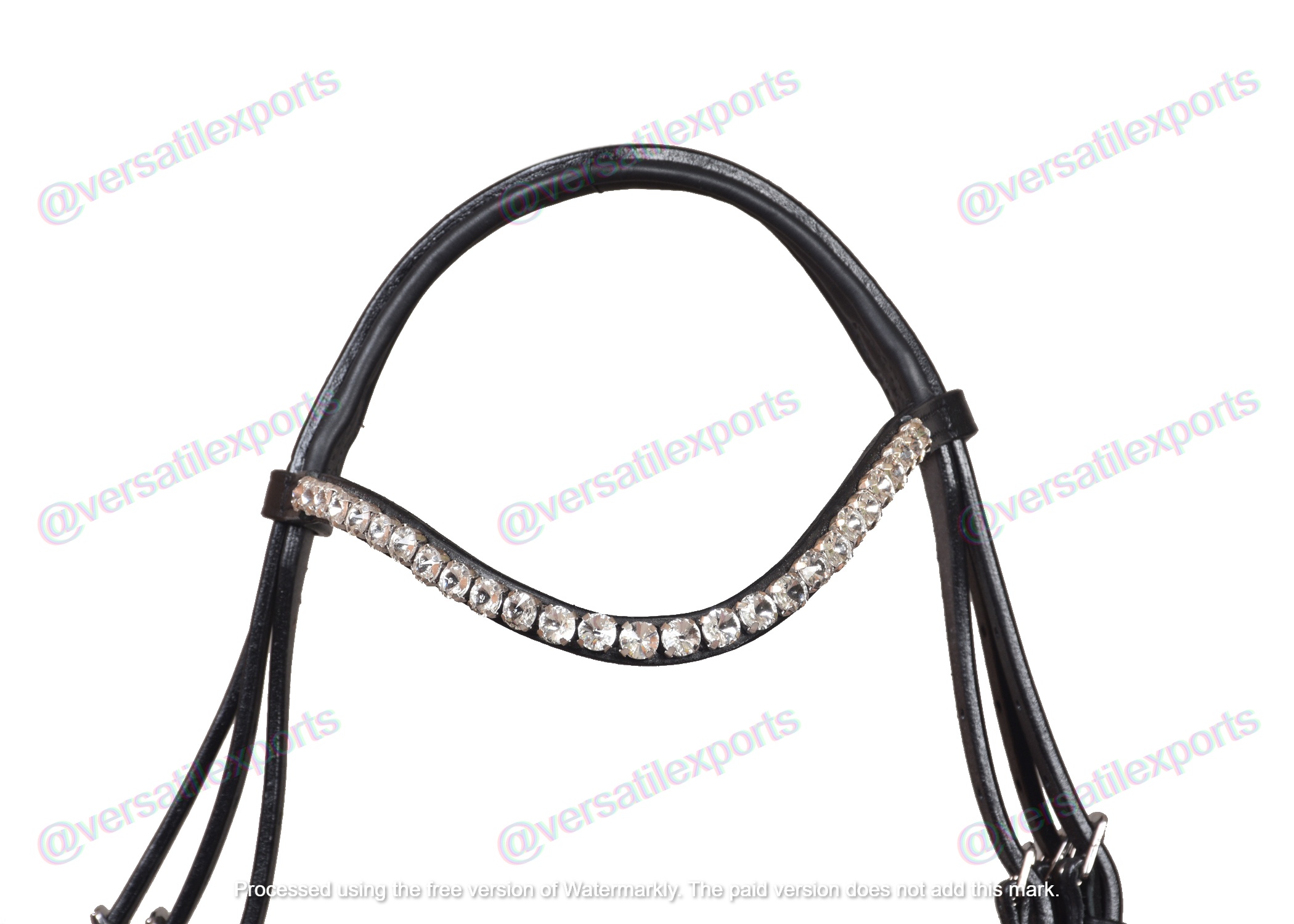 Bridle with White Padding